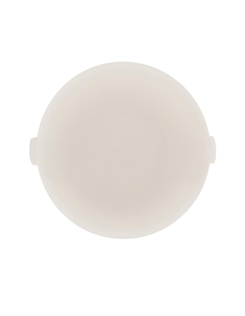 Tazón de porcelana 2