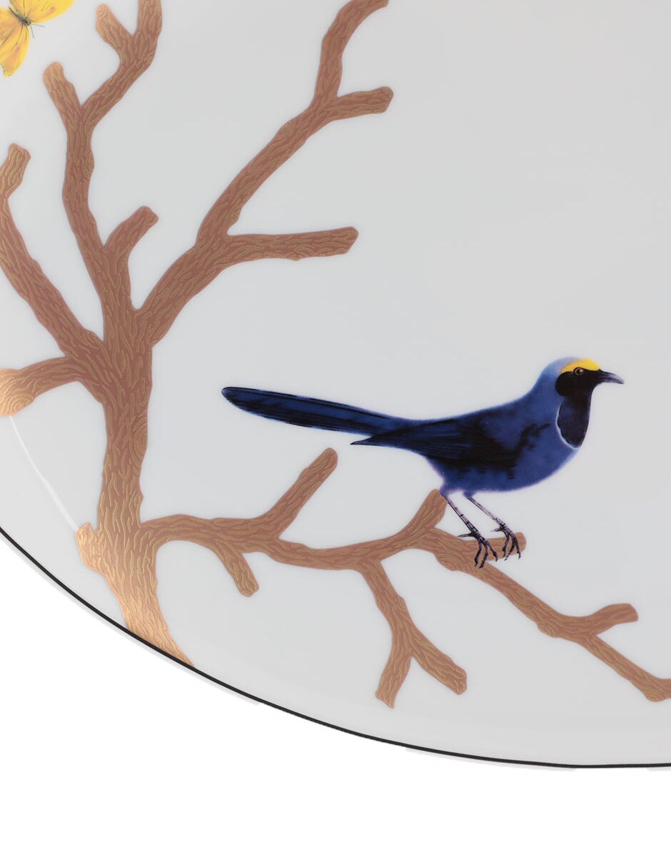 Platón Aux Oiseaux de porcelana 3