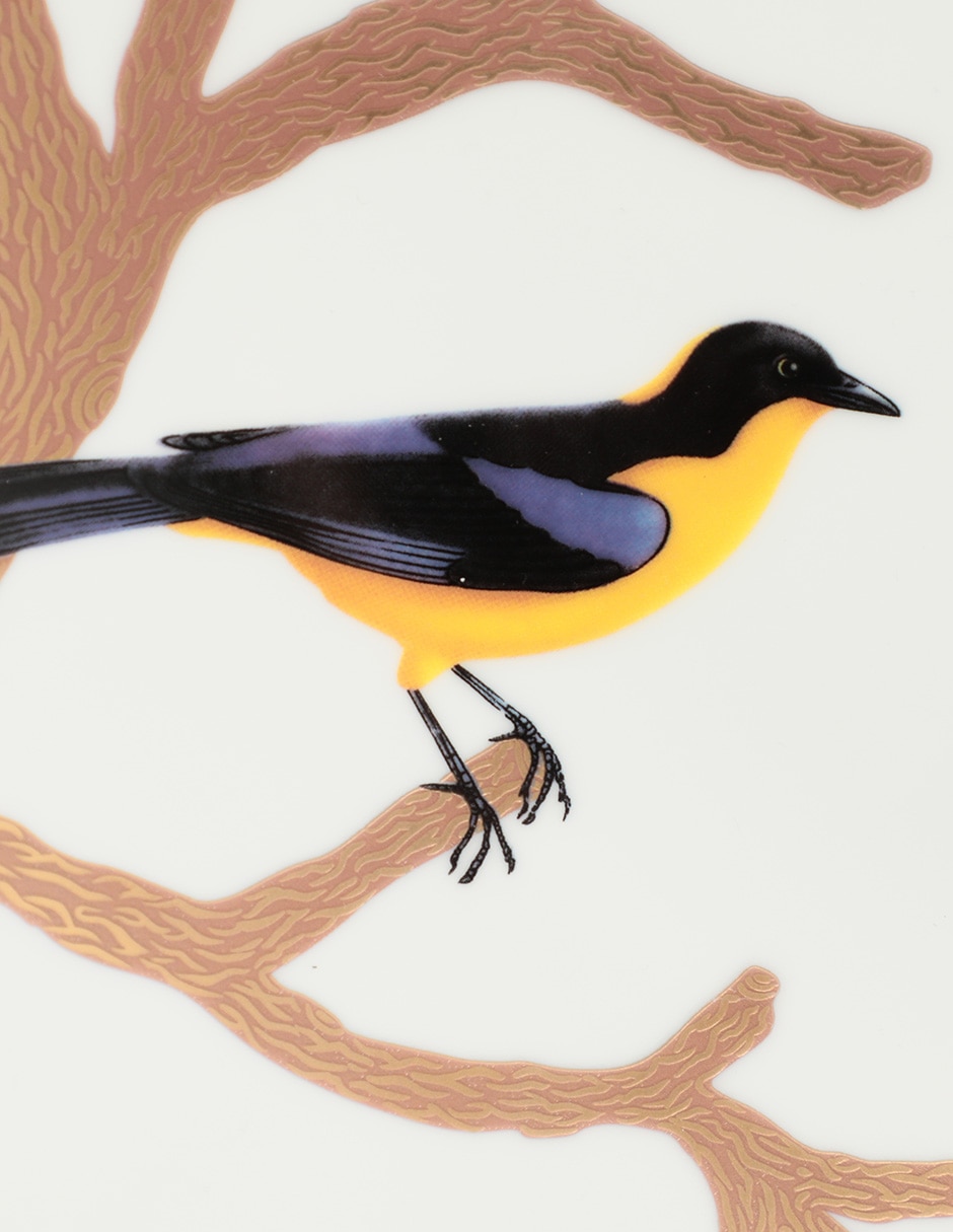 Bowl Aux Oiseaux de porcelana 3