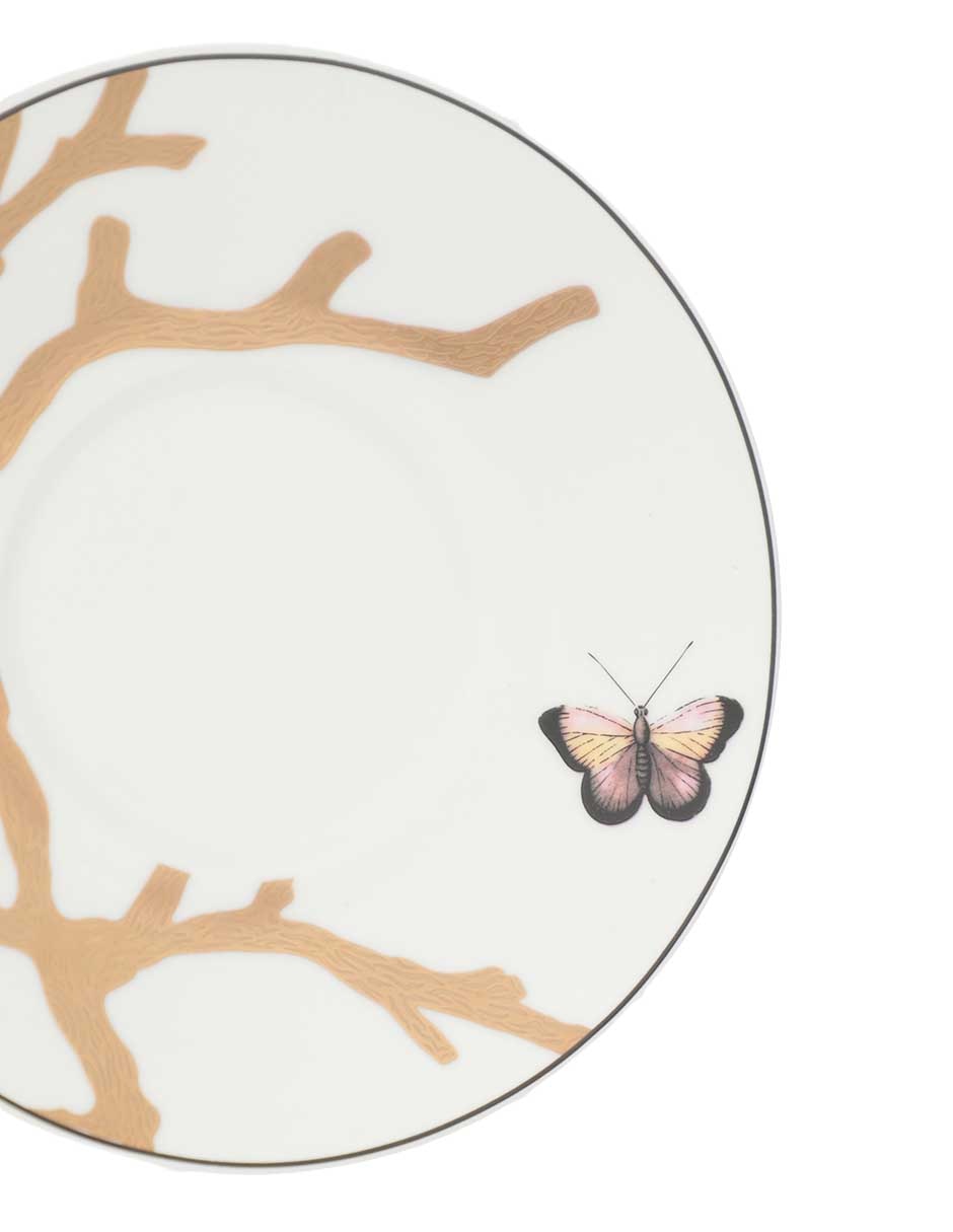 Set de tazas terno Aux Oiseaux 8 piezas 4