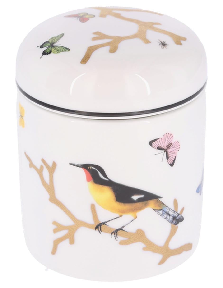 Contenedor Bernardaud Aux Oiseaux de porcelana