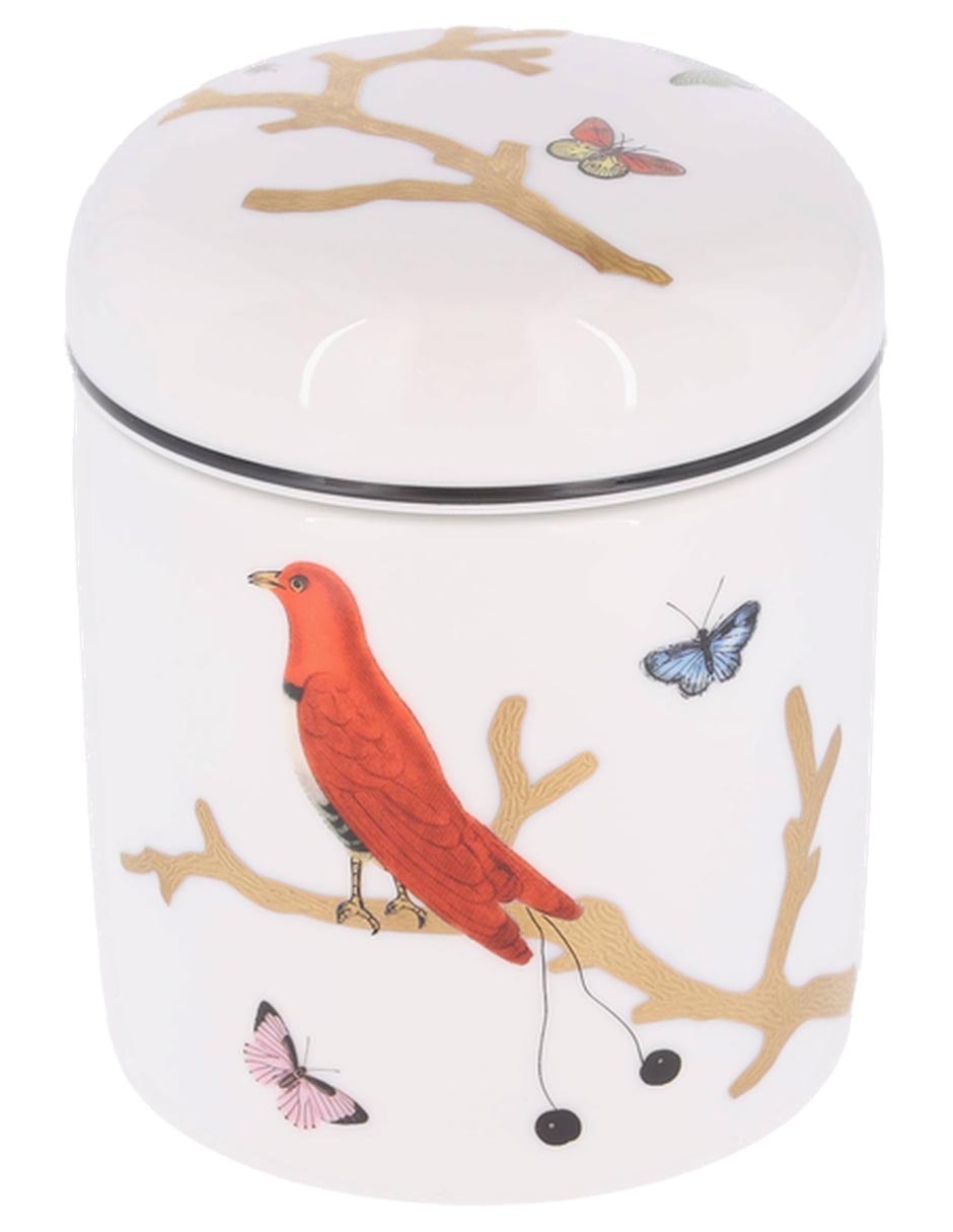 Contenedor Bernardaud Aux Oiseaux de porcelana