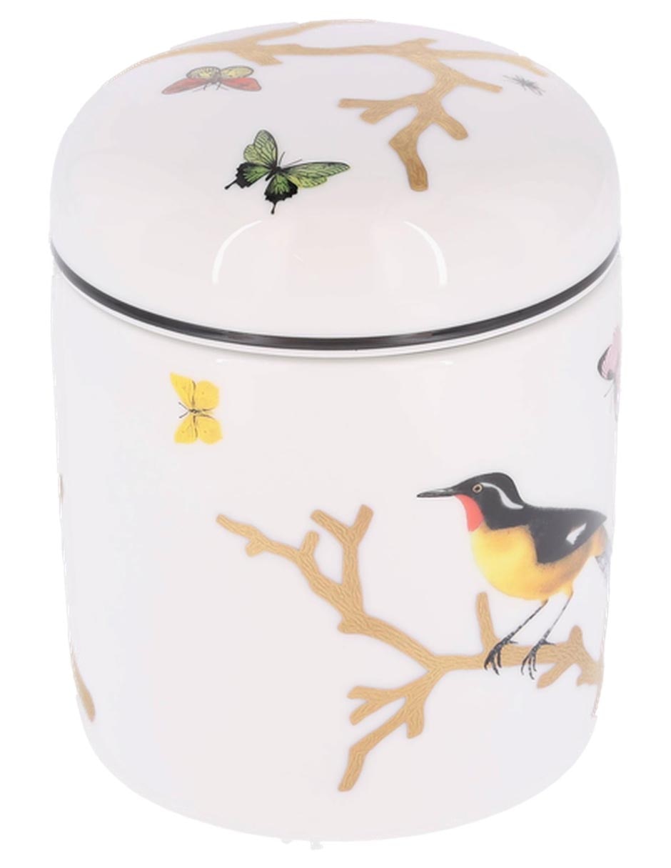 Contenedor Bernardaud Aux Oiseaux de porcelana