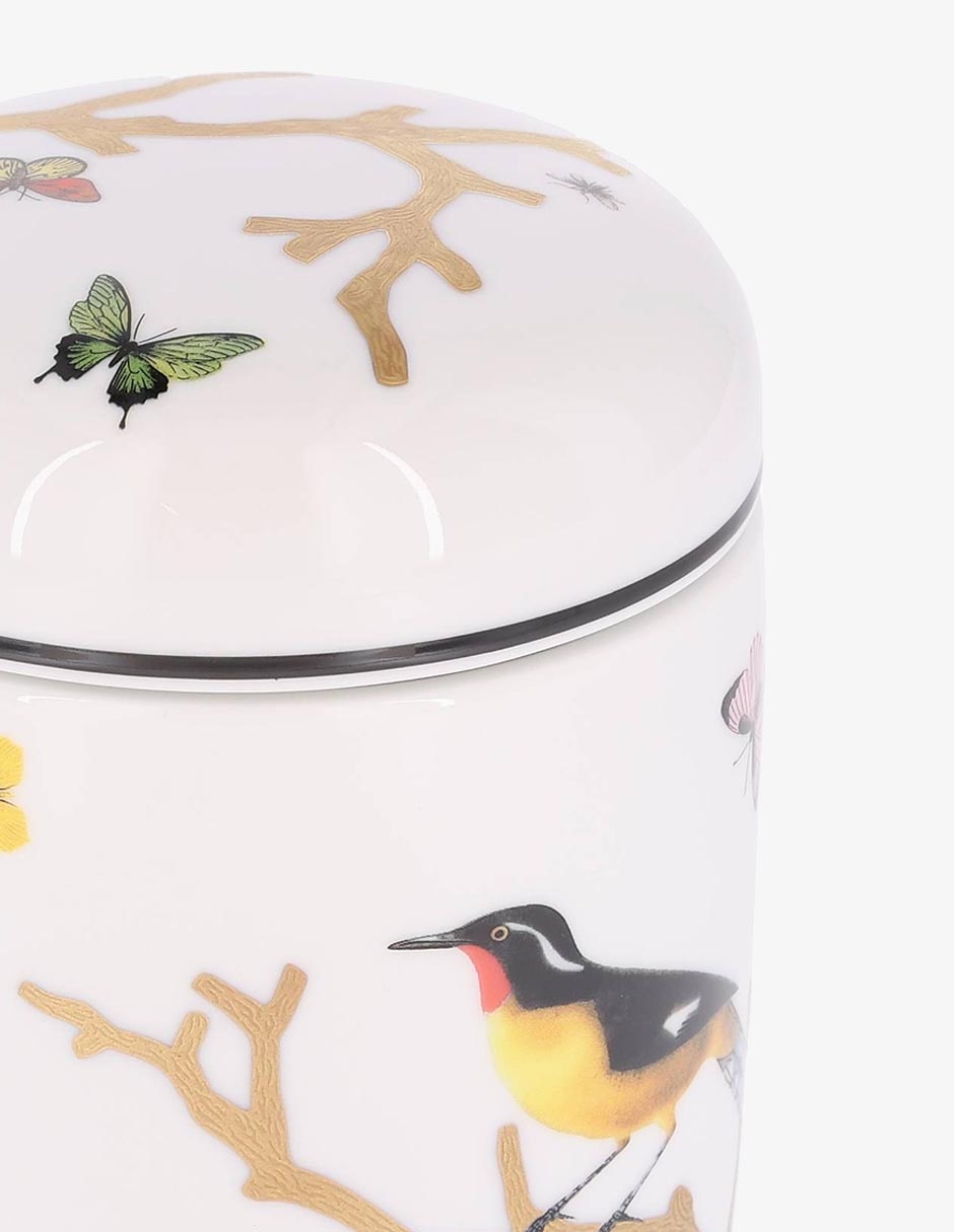 Contenedor Bernardaud Aux Oiseaux de porcelana