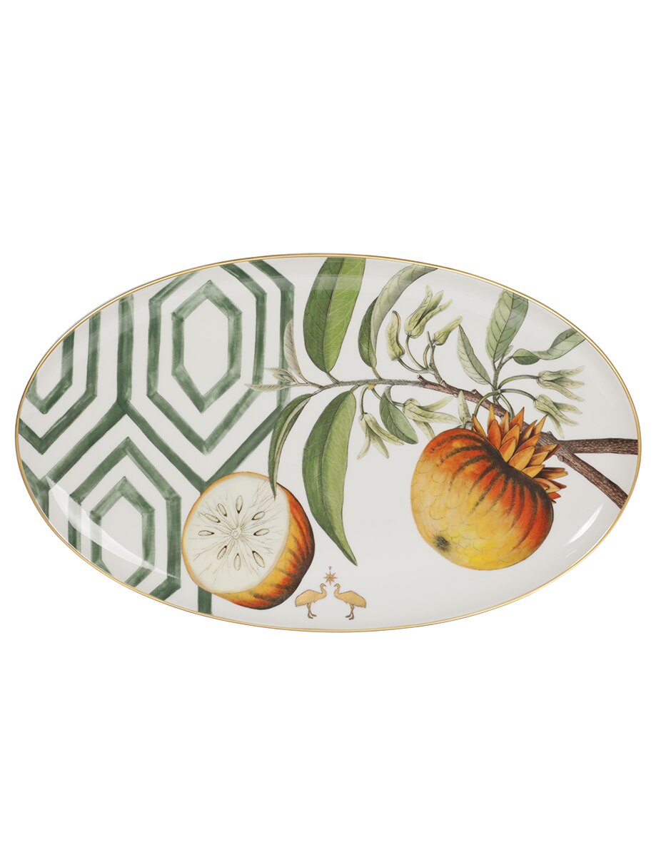 Platón Amazonia de porcelana 2