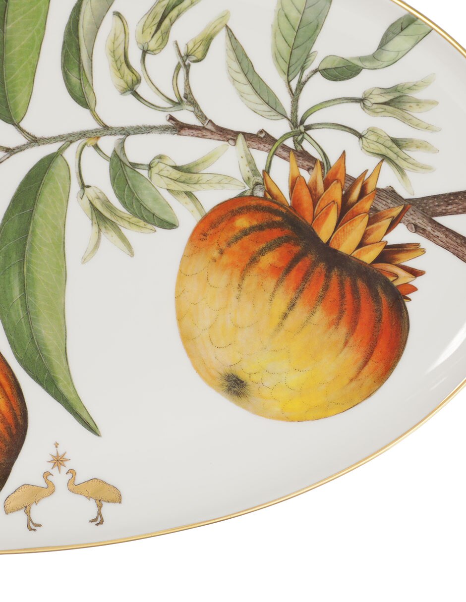 Platón Amazonia de porcelana 3