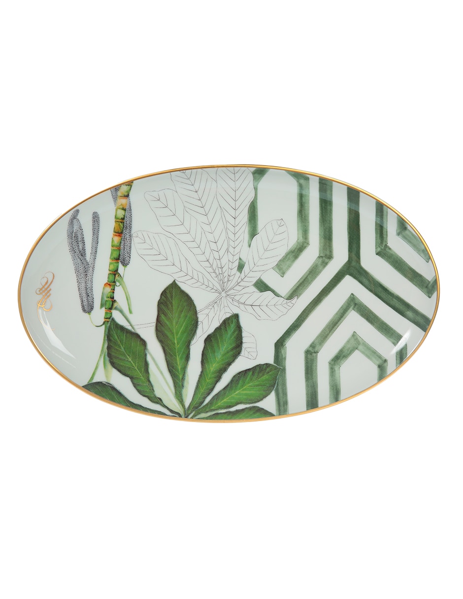 Platón Amazonia de porcelana 2