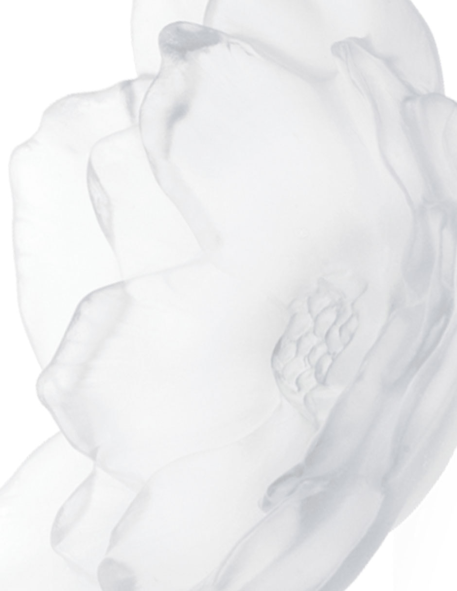 Bowl decorativo Daum Camelia