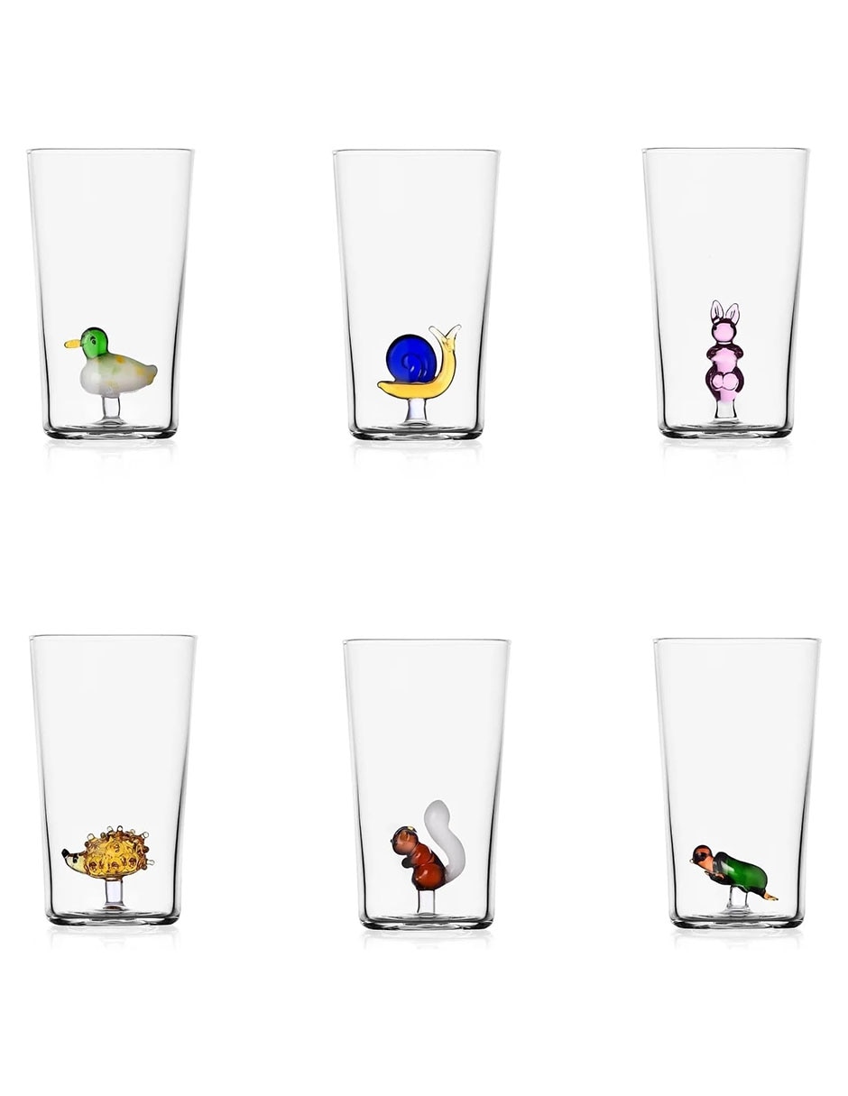 Vaso Doble Pack Af Squirrel