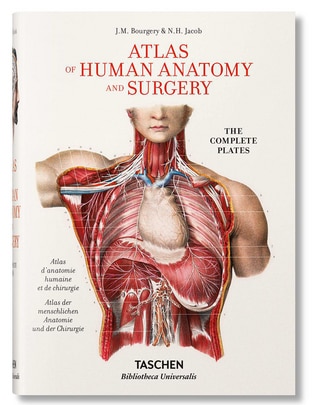 Libro Atlas of Human Anatomy and Surgery de Henri Sick/Jean-Marie Le Minor