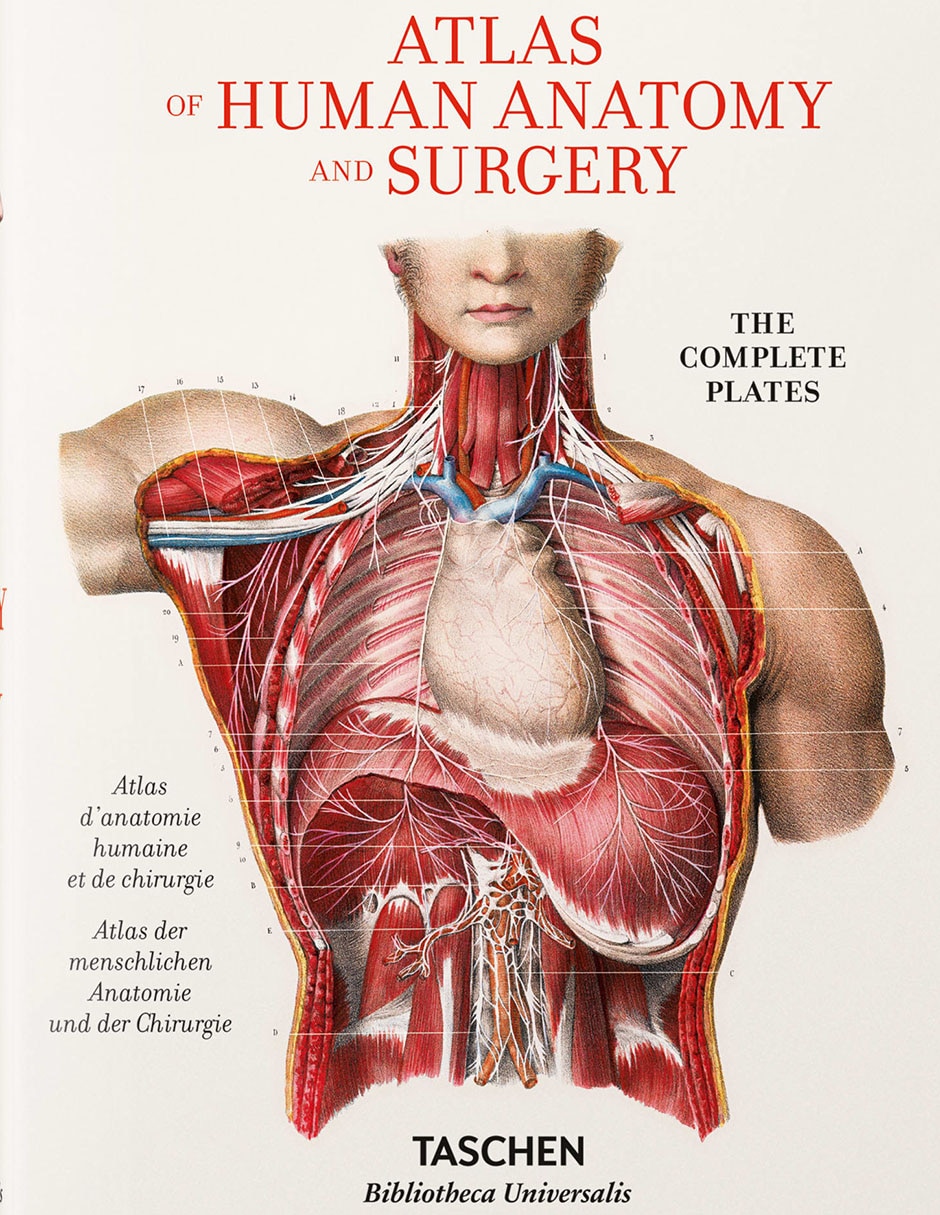 Libro Atlas of Human Anatomy and Surgery de Henri Sick/Jean-Marie Le Minor