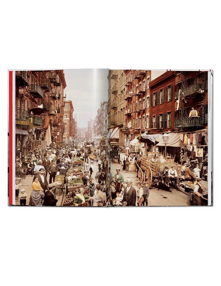 Libro New York Portrait Of A City De Reuel Golden 2