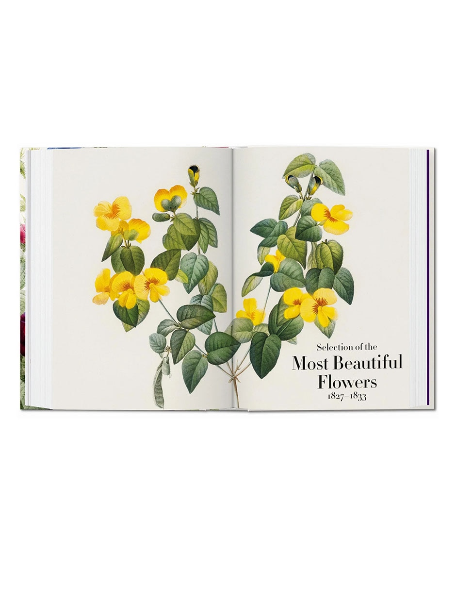 Libro The Book Of Flowers De H. Walter Lack & Pierre-Joseph Redouté Libro The Book Of Flowers De H. Walter Lack & Pierre-Joseph Redouté