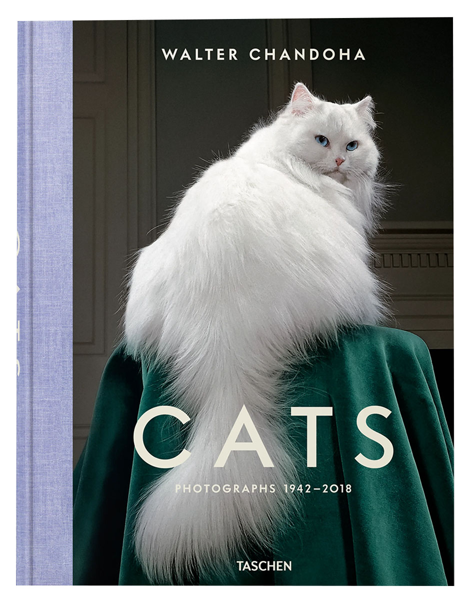 Libro Cats Photographs 1942Ð2018 De Walter Chandoha 1