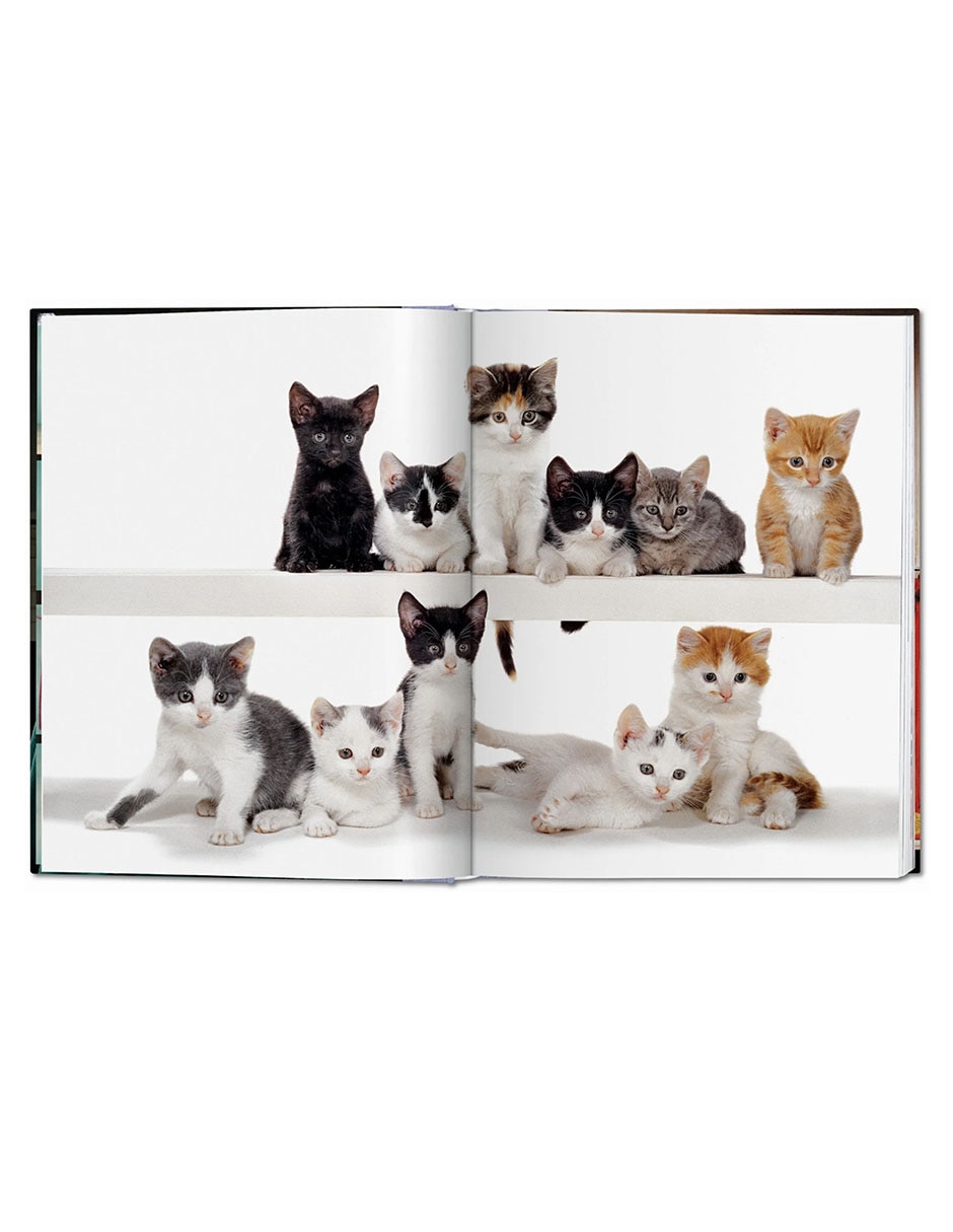 Libro Cats Photographs 1942Ð2018 De Walter Chandoha