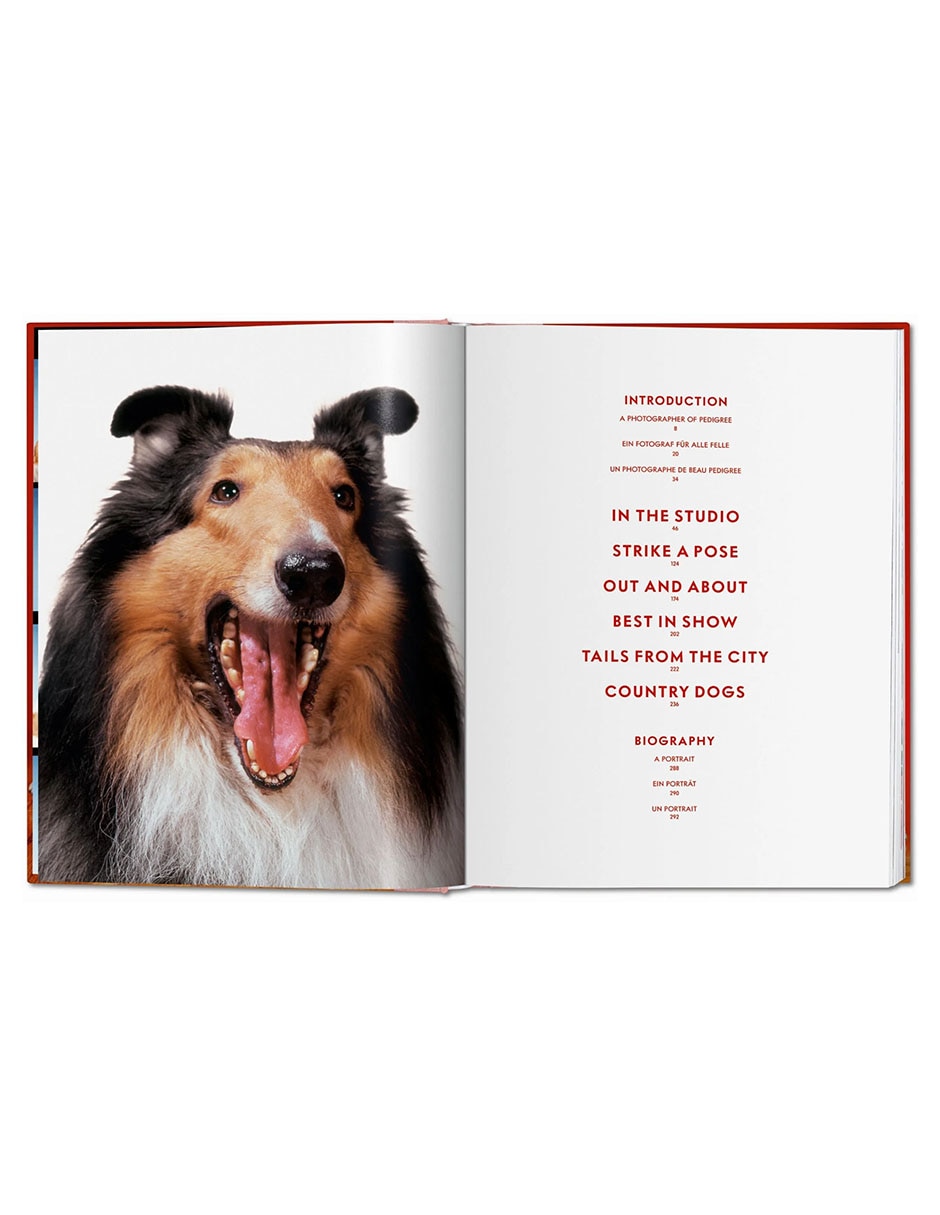 Libro Dogs: Photographs 1941Ð1991 De Walter Chandoha